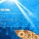 FESTIVALUL INTERNATIONAL DE TEATRU – PROGRAMUL ZILEI
