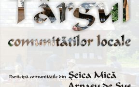 Târgul comunităţilor locale, ediţia I