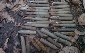 Muniţie descoperită în curtea casei