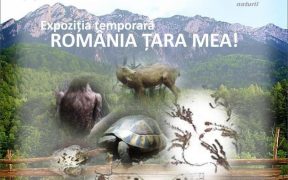 Muzeul de Istorie Naturală găzduieşte expoziţia: România ţara mea!