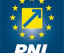 Raluca Turcan: Din păcate, cine susține ALDE, susține PSD!