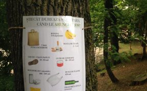 Sibienii sunt invitați la acțiunea "Curățenie cu cei mici în Parcul Sub Arini"