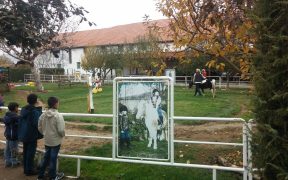 Copiii din centrele de plasament din Sibiu în vizită la Târgul Mureș