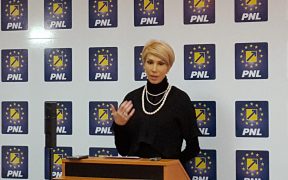 PNL cere retragerea propunerii lui Drăghici de la conducerea AEP