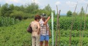 Producătorii din Piața Volantă Transilvania verificați la fața locului