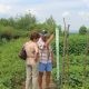 Producătorii din Piața Volantă Transilvania verificați la fața locului