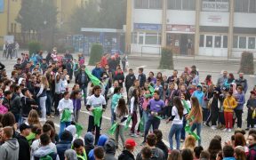 „Let’s Do It, Mediaș!“