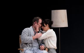 Noile producții ale Teatrului Național Radu Stanca, programate la început de an