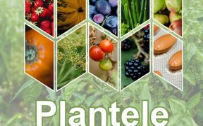 Expoziție de plante și diete anti-cancer la Muzeul de Istorie Naturală Sibiu
