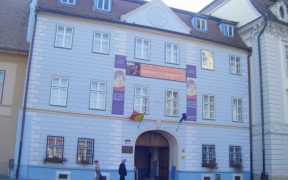 Expoziția „Frumusețea naturii, rafinamentul mesei” va fi vernisată la Casa Albastră