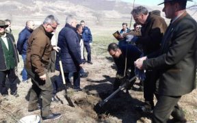 Ministrul Daneș a plantat pomi la Copșa Mică