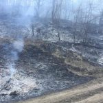 Valea Viilor: Pompierii s-au luptat noaptea trecută cu un incendiu de pădure