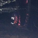 Valea Viilor: Pompierii s-au luptat noaptea trecută cu un incendiu de pădure