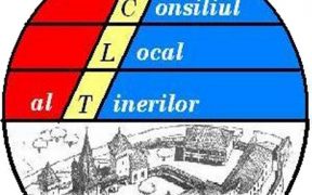 Astăzi se alege noul Consiliu Local al Tinerilor