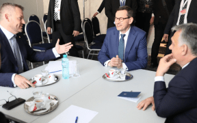 FOTO: Grupul de la Visegrad la cafea in Sibiu