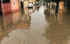 FOTO: Subsoluri inundate și copaci căzuți pe carosabil după ploaia din județul Sibiu