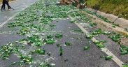VIDEO: Bere împrăștiată pe asfalt | Trafic blocat pe DN 14, între Târnava și Copșa