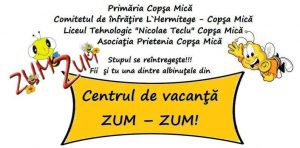 Centru de vacanță Zum-Zum la Copșa Mică