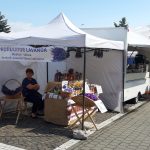 Ultimele pregătiri pentru startul Festivalului Berii