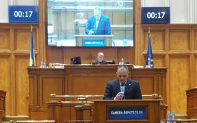 Nicolae Neagu, deputat: Înflorește "Grădina Maicii Domnului"