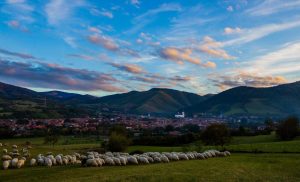 „Fiii satului” la Rășinari