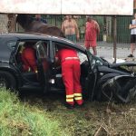 Un cal care păștea liniștit într-o grădină a fost lovit de către o mașină care a derapat