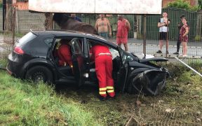 Un cal care păștea liniștit într-o grădină a fost lovit de către o mașină care a derapat