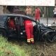 Un cal care păștea liniștit într-o grădină a fost lovit de către o mașină care a derapat