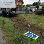 Un cal care păștea liniștit într-o grădină a fost lovit de către o mașină care a derapat