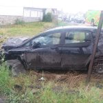 Un cal care păștea liniștit într-o grădină a fost lovit de către o mașină care a derapat