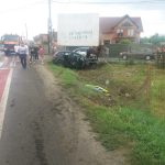 Un cal care păștea liniștit într-o grădină a fost lovit de către o mașină care a derapat