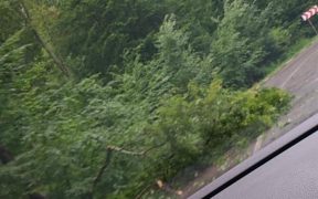 VIDEO: Furtuna de azi a speriat sibienii din zona montană