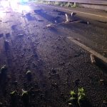 În urma accidentului de la Hoghilag, un copil a murit, iar mama acestuia este în comă