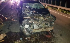 În urma accidentului de la Hoghilag, un copil a murit, iar mama acestuia este în comă