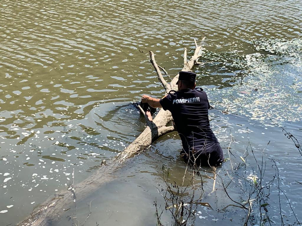 Femeie găsită înecată în râul Olt