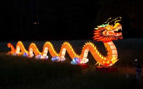 Muzeul Astra: Lantern Festival și Cultura gastronomică au ajuns la final