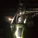 Noapte albă pentru pompierii sibieni - 20 de găini și 4 rațe salvate