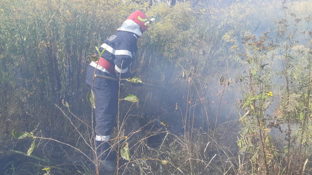 Valea Săpunului - Au ars aproximativ 100 mp de vegetație uscată