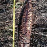 FOTO: Proiectil de război găsit de localnici în timp ce igienizau zona de resturi vegetale