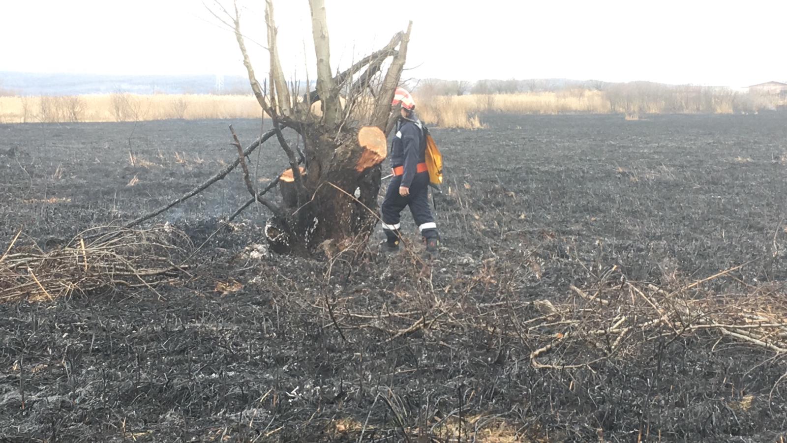 Au ars 3 hectare de vegetație uscată în localitatea Vale