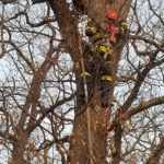 FOTO: ISU a intervenit în Parcul Sub Arini pentru înlăturarea unei crengi
