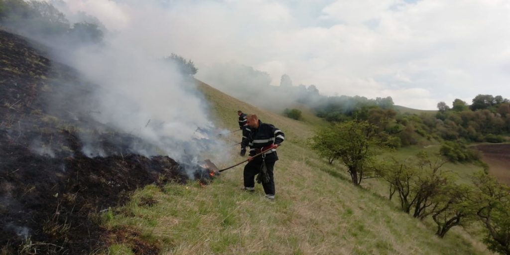 10 hectare de vegetație uscată au ars în Ighișul Nou