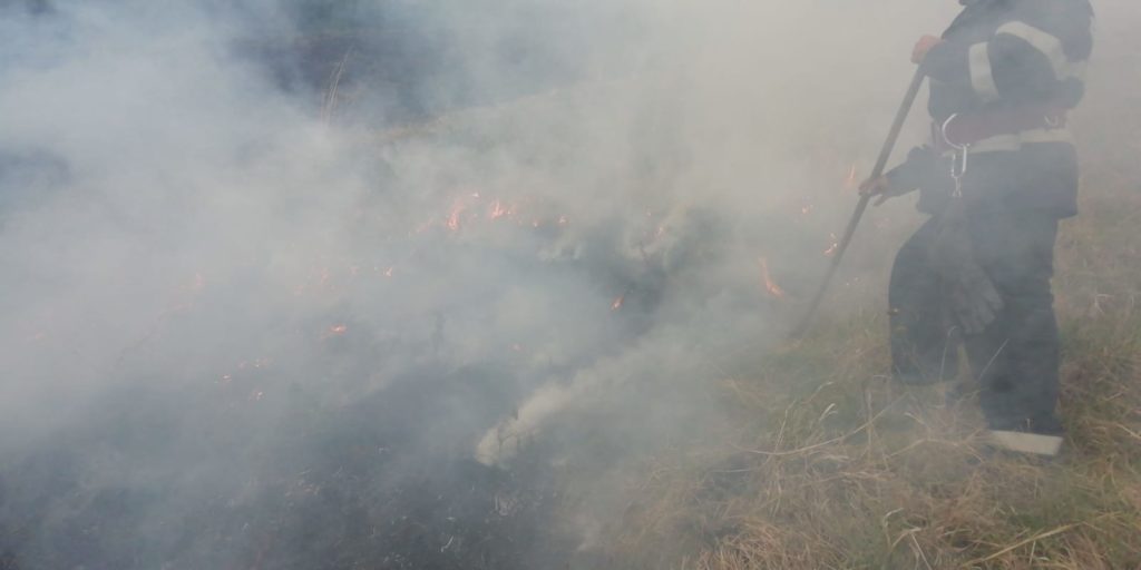 10 hectare de vegetație uscată au ars în Ighișul Nou