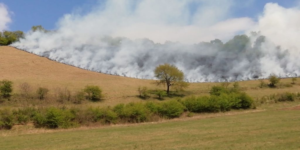 10 hectare de vegetație uscată au ars în Ighișul Nou