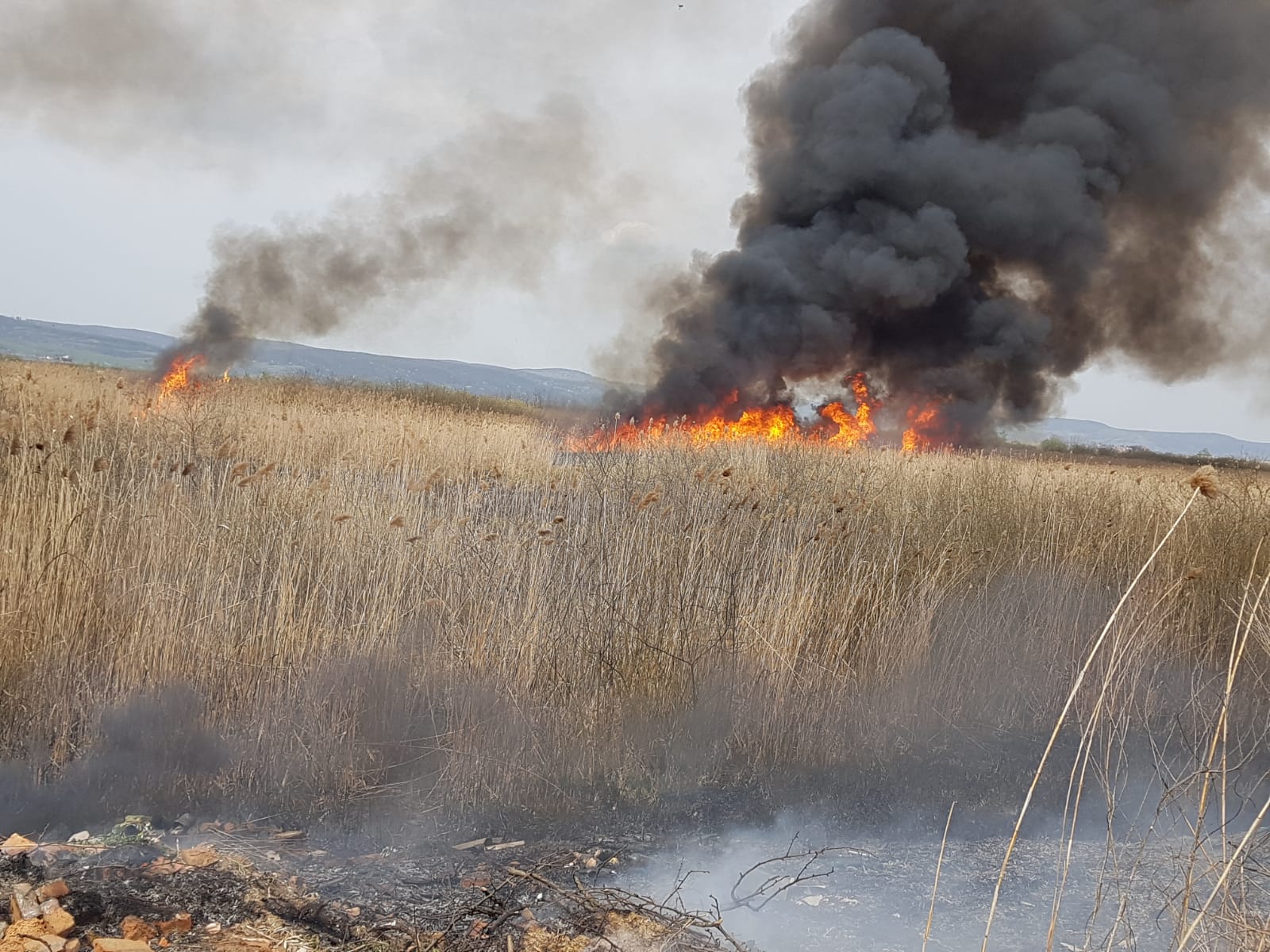 Foto | Aproximativ 2 hectare de vegetație uscată și resturi vegetale au arsîn urmă cu puțin timp