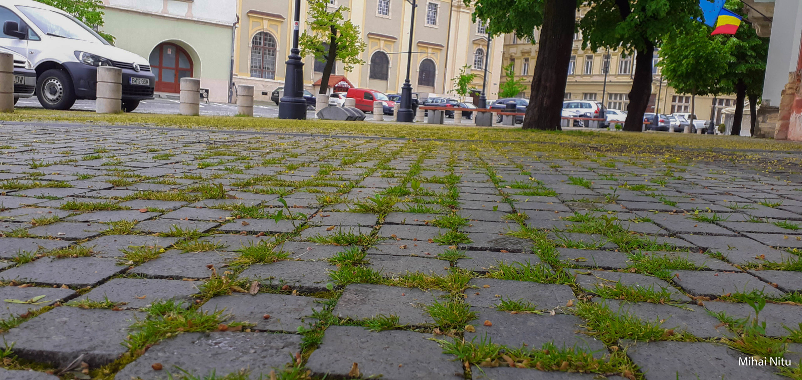 Foto | Se începe erbicidarea zonelor cu piatră cubică din Centrul Istoric
