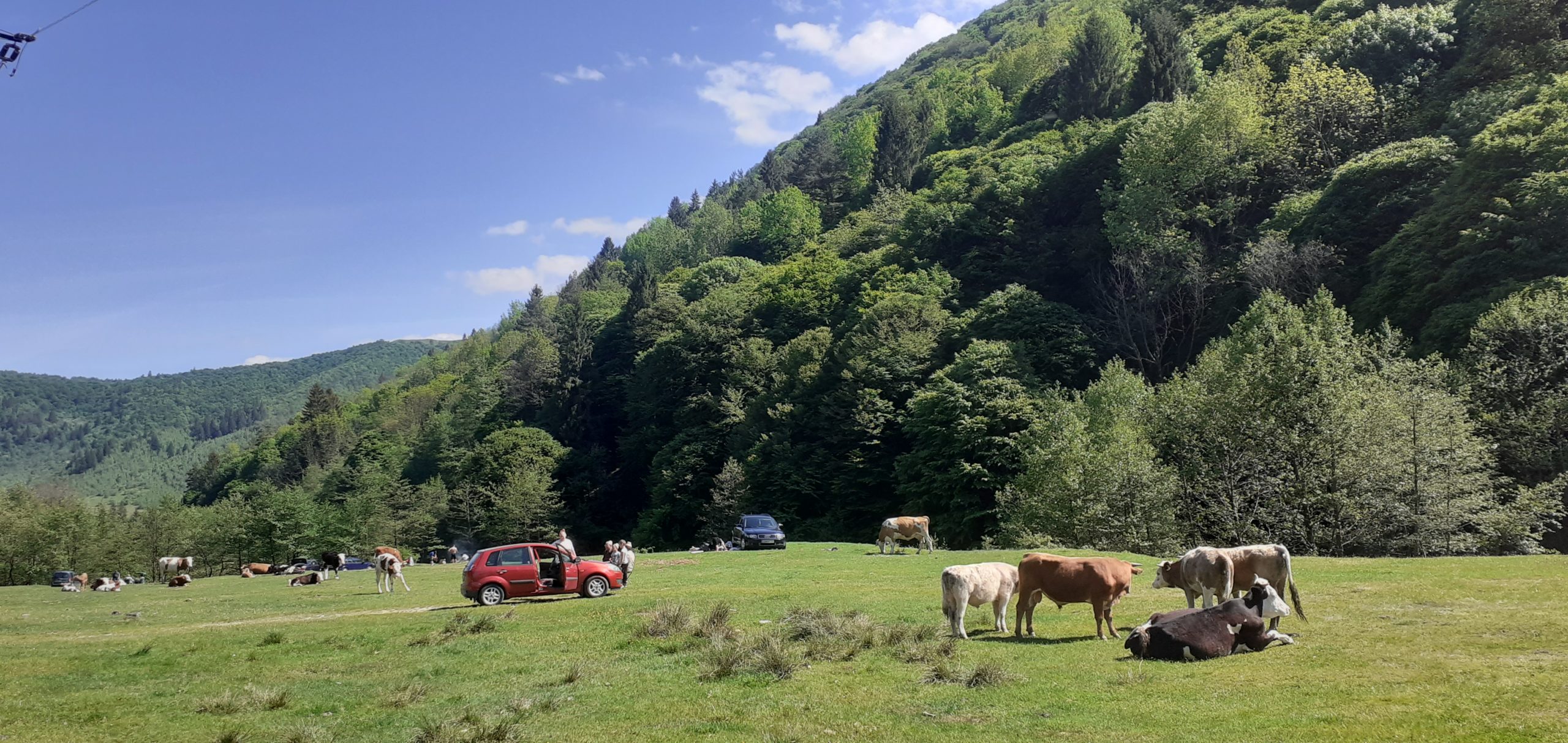 Grătarele au sfârâit din nou la Curmătură