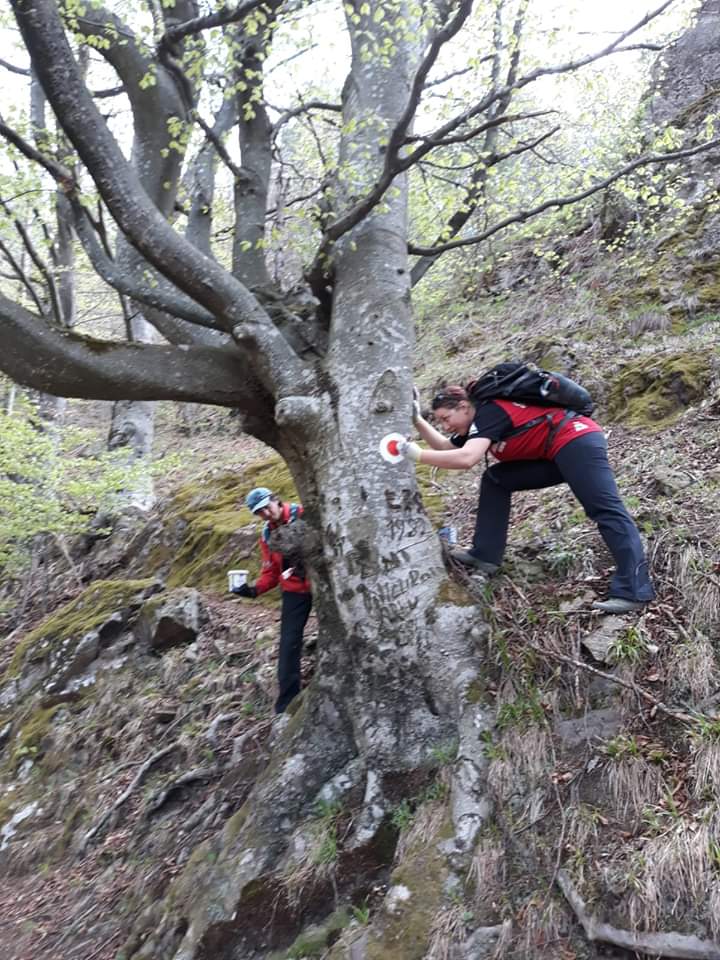Foto | Salvamontiștii sibieni au desfășurat activități de curățire și remarcare pe sectoare de traseu
