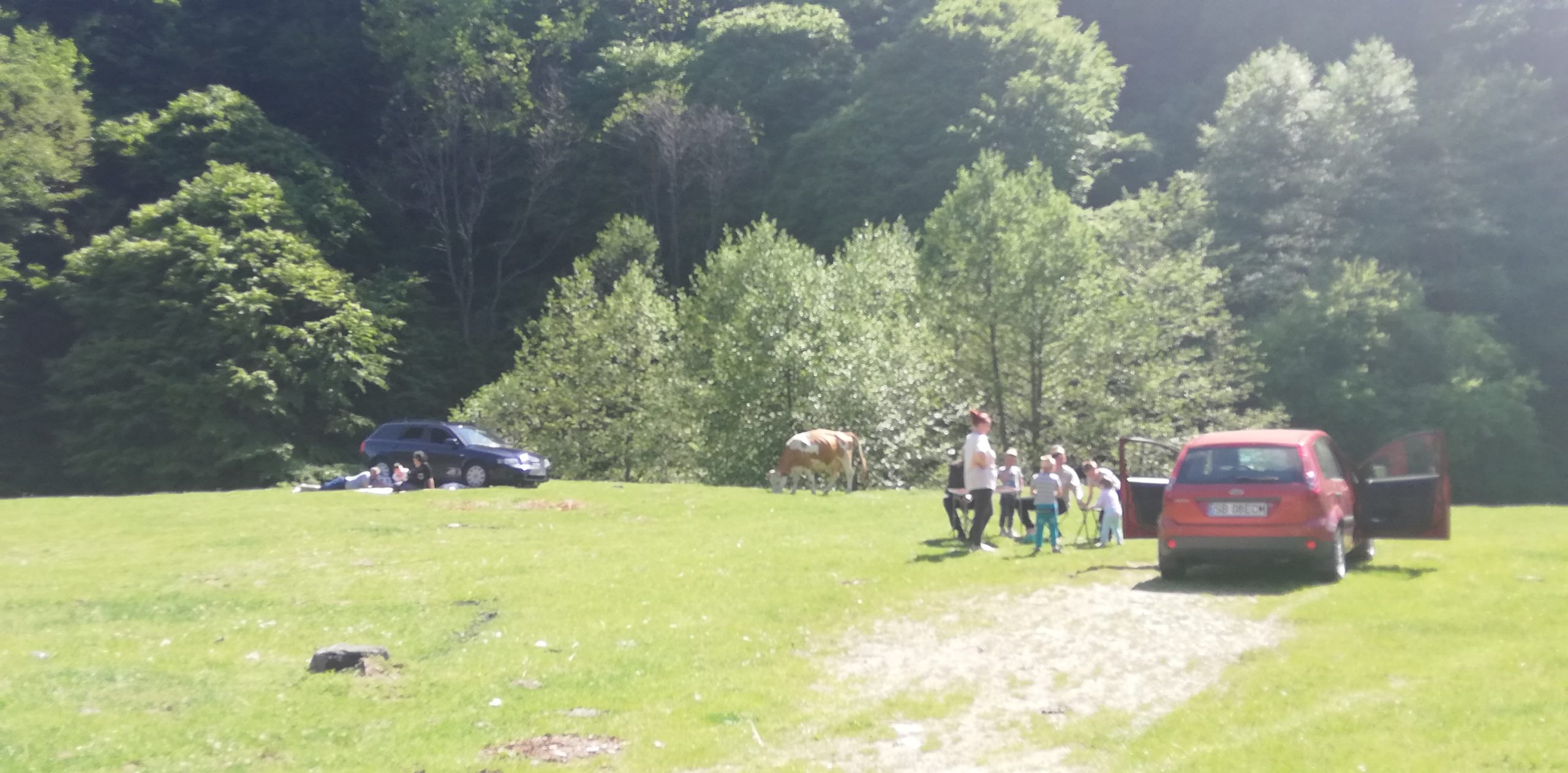 Grătarele au sfârâit din nou la Curmătură