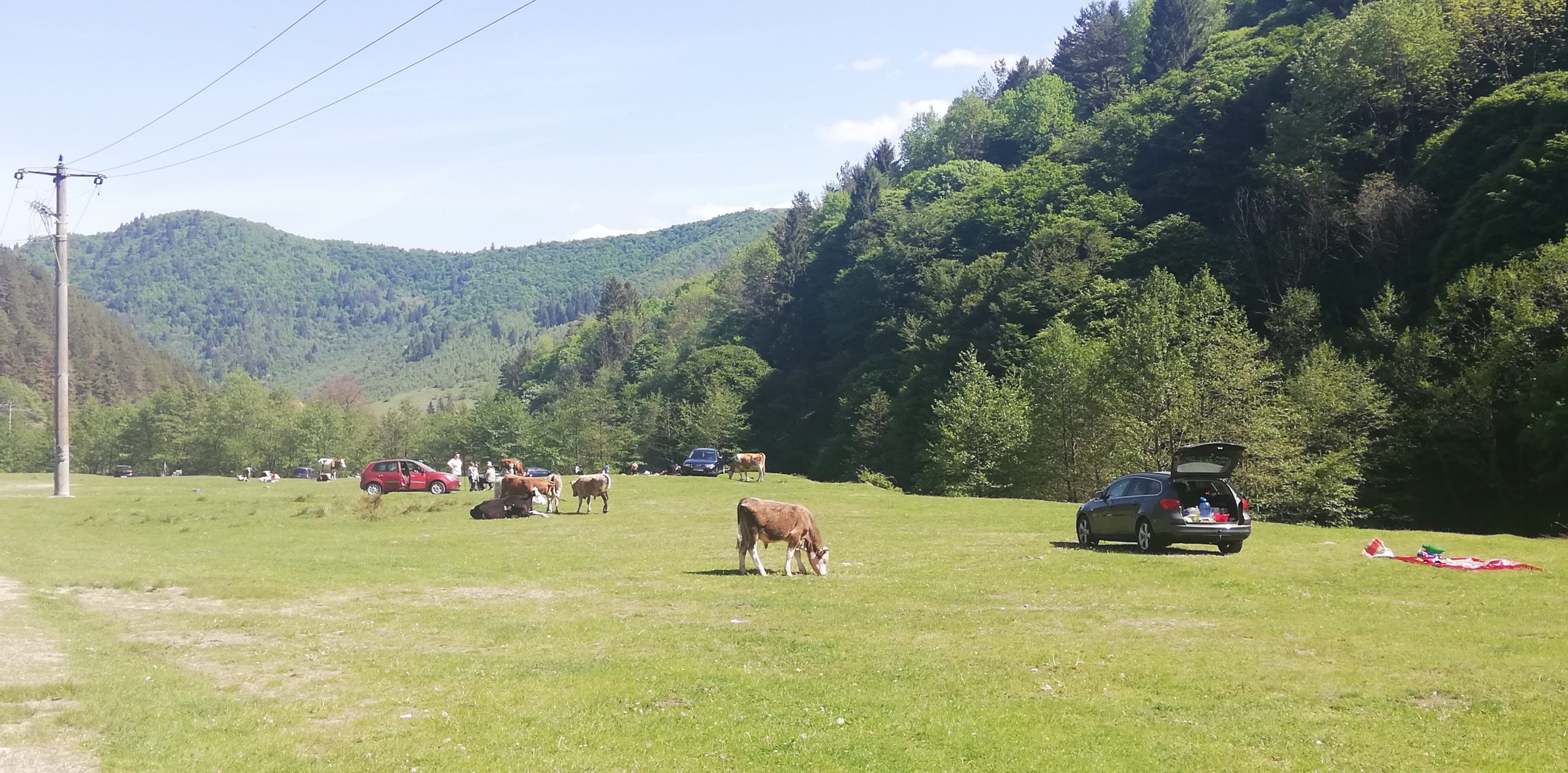 Grătarele au sfârâit din nou la Curmătură